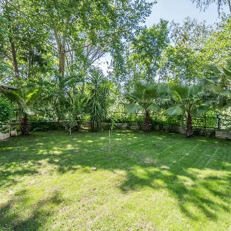 Bieno Venues Hotel 4*